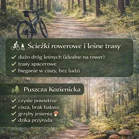 Lesny Azyl W Puszczy Kozienice * Psary