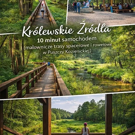 Lesny Azyl W Puszczy Kozienice Holiday home